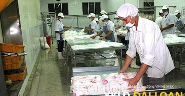 Xuất khẩu lao động Đài Loan tuyển nam đóng gói bột tháng 12/2022 30